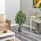 4ft. Ficus Tree in Gray Planter with Stand